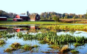 farm and wetlands