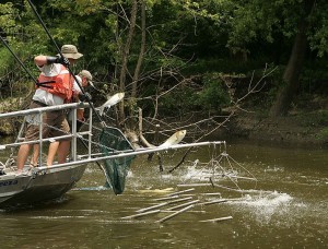 785px-Electrofishing_for_the_asian_carp_invasive_species