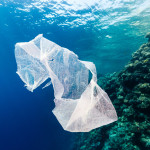 http://www.dreamstime.com/royalty-free-stock-photos-discarded-plastic-bag-drifting-past-tropical-coral-reef-image28322908